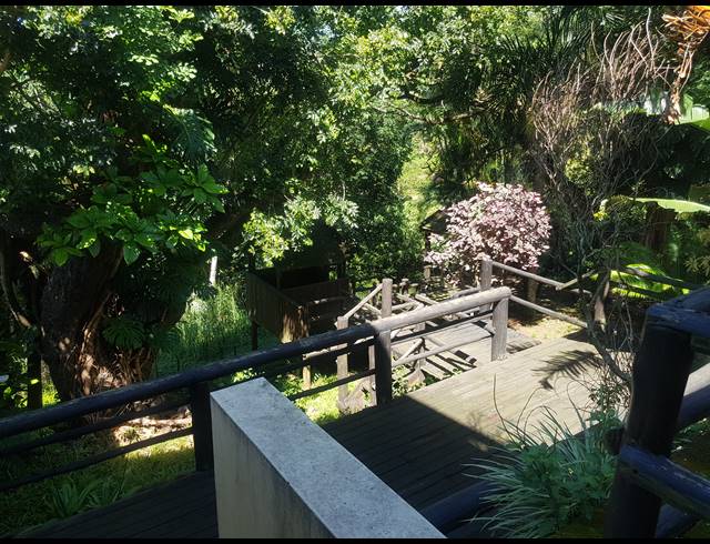 6 BEDROOM FREESTANDING FOR SALE IN FREELAND PARK
